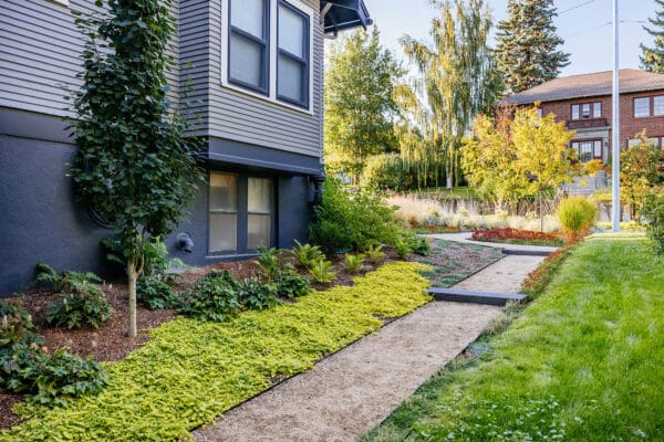 Side angle of plantings from Butte, Montana landscape architect photoshoot