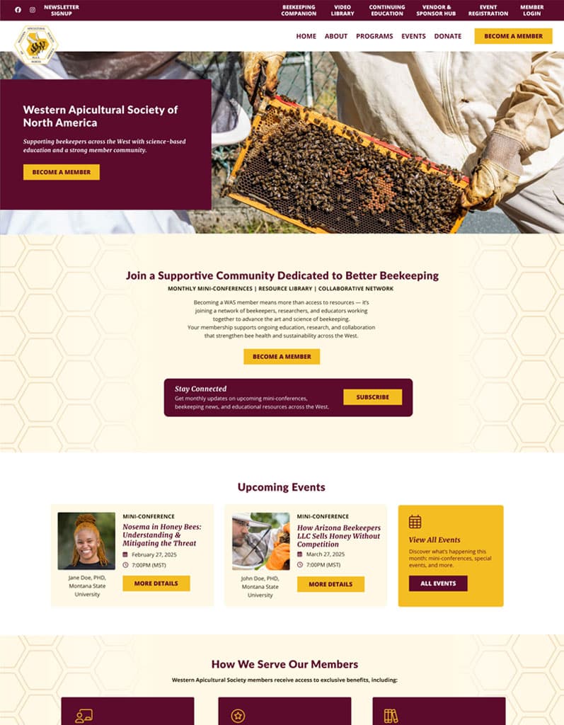 Homepage design for the Western Apicultural Society featuring a beekeeper holding a honeycomb frame, highlighting membership benefits, educational events, and beekeeping resources across the western U.S.